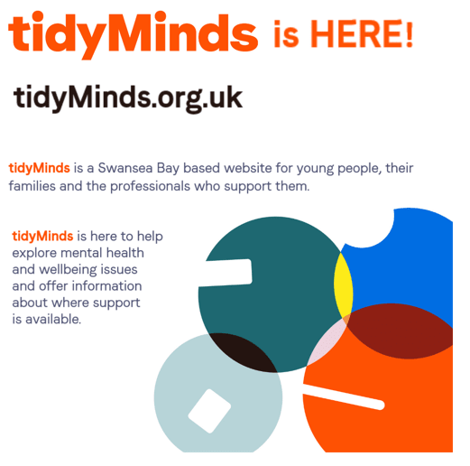 Image of colourful circles, text says tidyMinds is a Swansea Bay based website for young people, their families and the professionals who support them