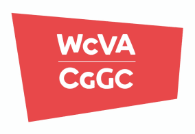 WCVA logo 2020